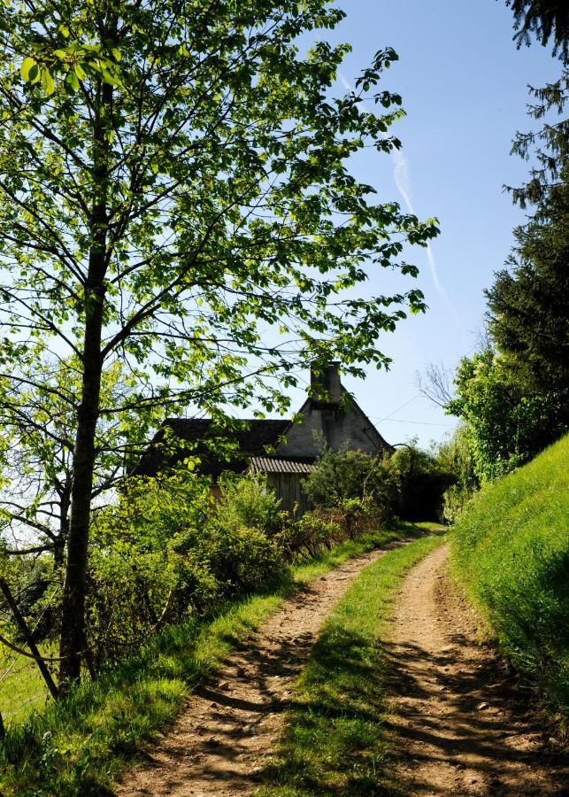 Le Bourmier Anlhiac Near Excideuil Villa Bagian luar foto